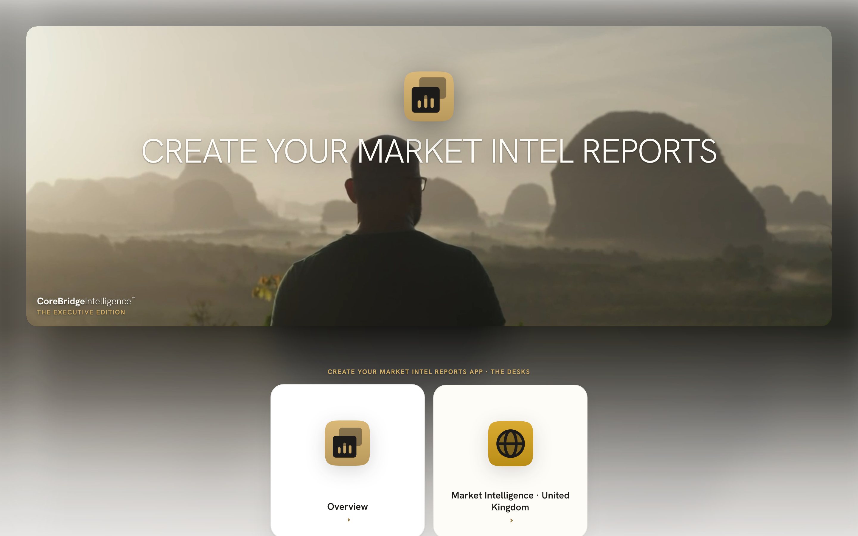 Create your Market Intel Reports